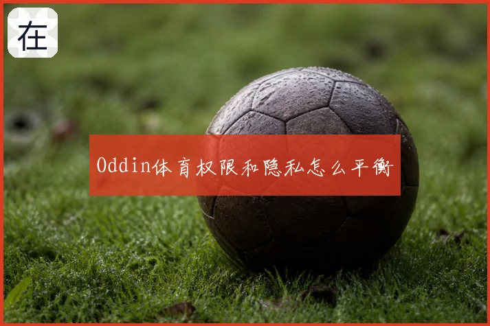Oddin体育权限和隐私怎么平衡